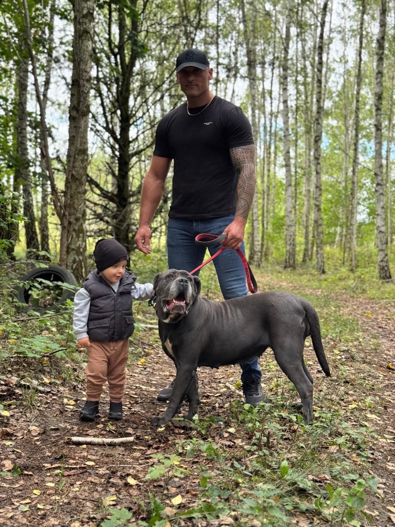 Night Defenders FCI — Cane Corso z właścicielem